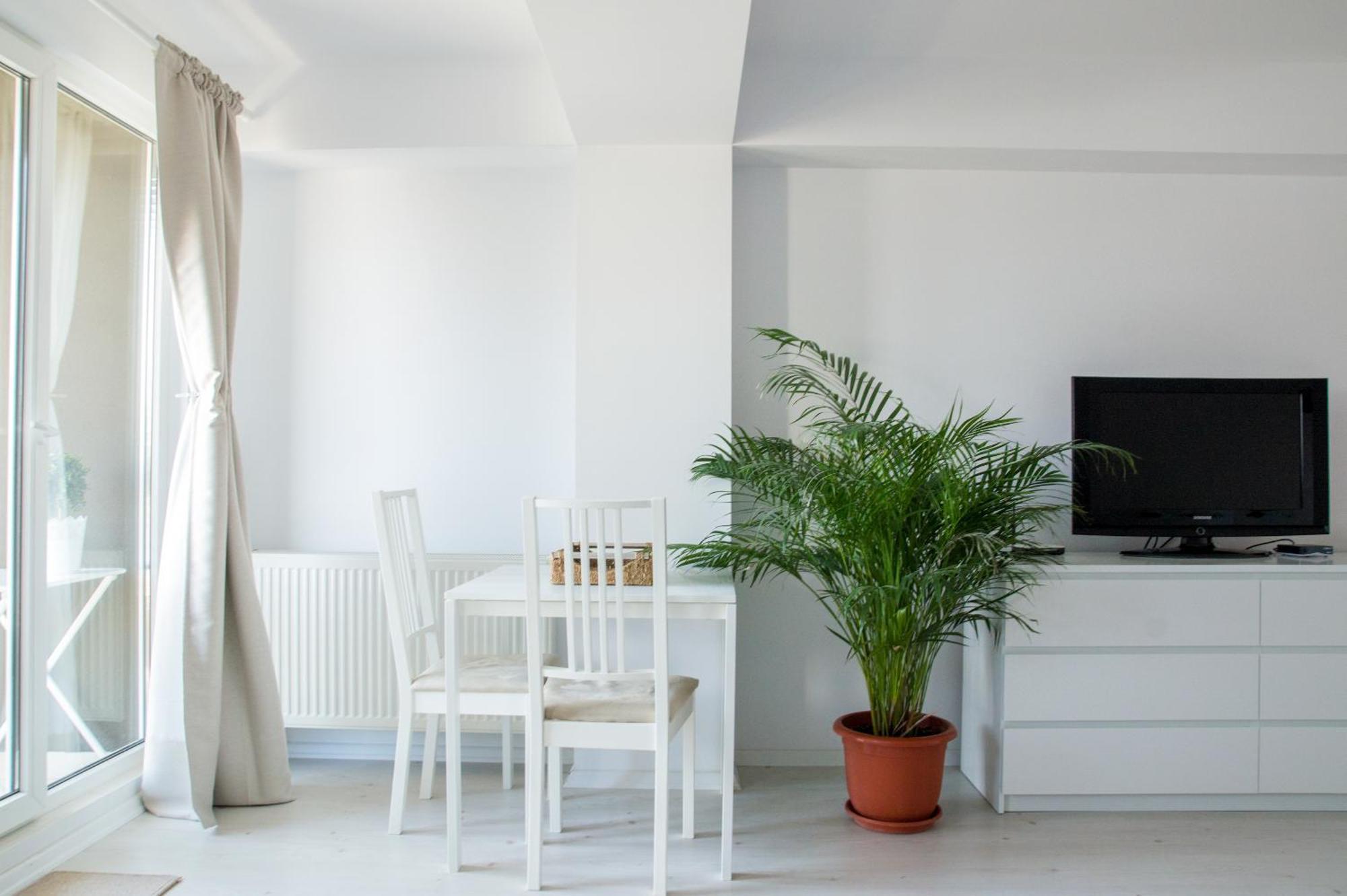 Airport Residence - 5 Mins From Airport Otopeni Extérieur photo
